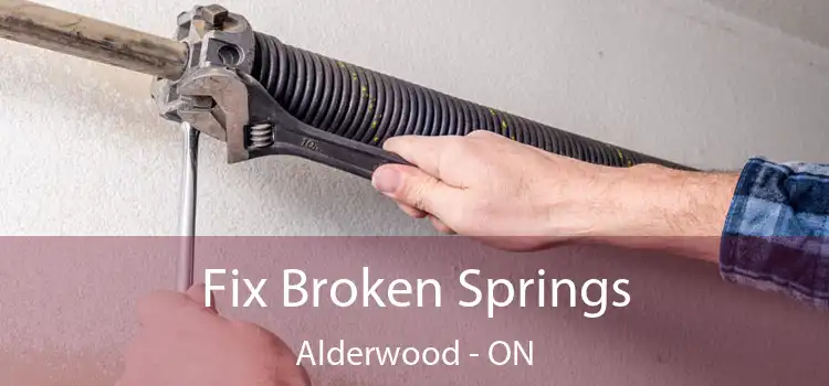  Fix Broken Springs Alderwood - ON