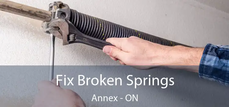  Fix Broken Springs Annex - ON