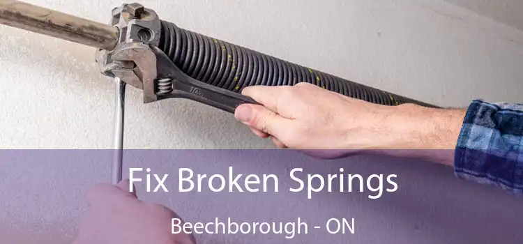  Fix Broken Springs Beechborough - ON
