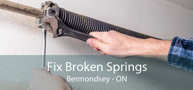 Fix Broken Springs Bermondsey - ON