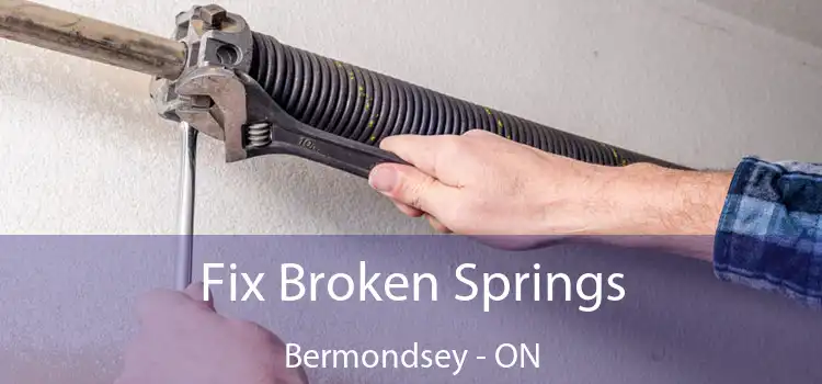  Fix Broken Springs Bermondsey - ON