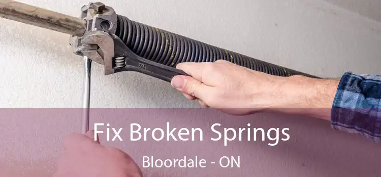  Fix Broken Springs Bloordale - ON