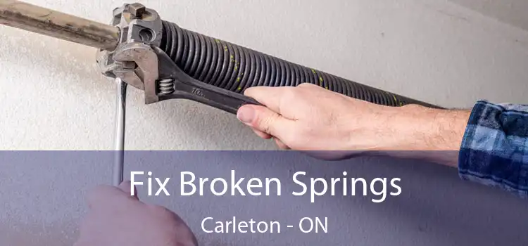  Fix Broken Springs Carleton - ON