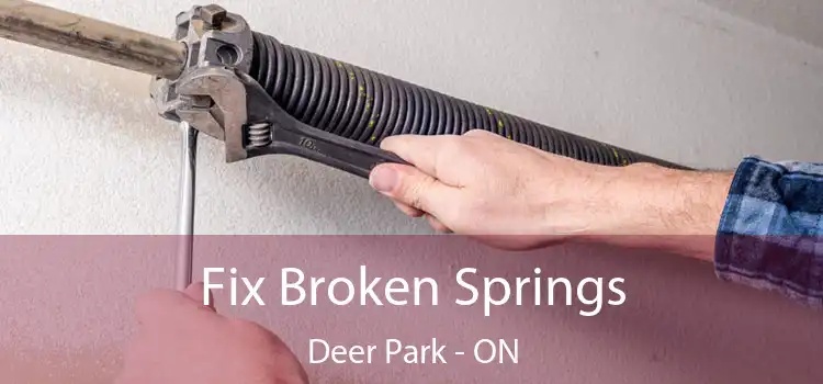  Fix Broken Springs Deer Park - ON