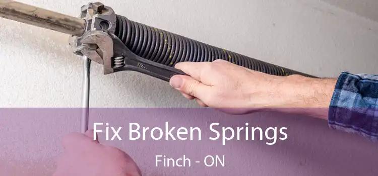  Fix Broken Springs Finch - ON