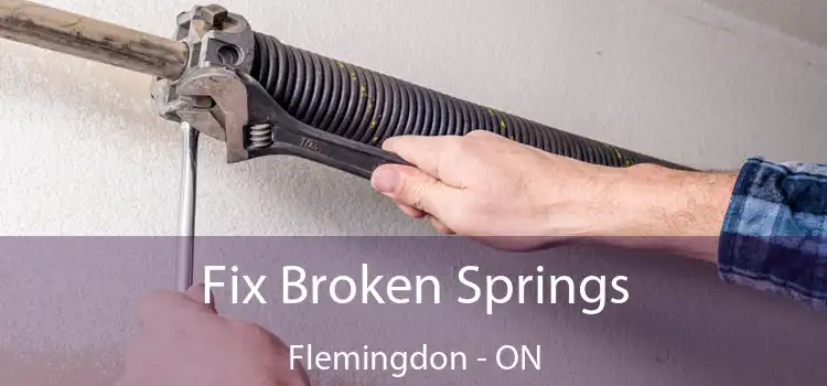  Fix Broken Springs Flemingdon - ON
