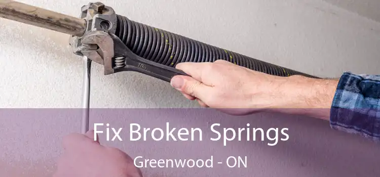  Fix Broken Springs Greenwood - ON