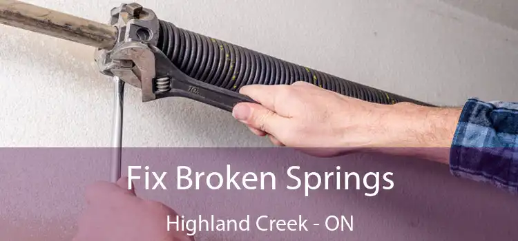  Fix Broken Springs Highland Creek - ON