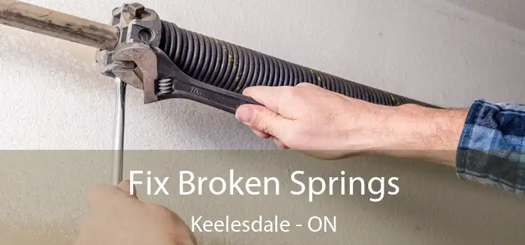  Fix Broken Springs Keelesdale - ON