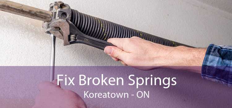 Fix Broken Springs Koreatown - ON