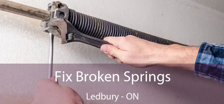  Fix Broken Springs Ledbury - ON
