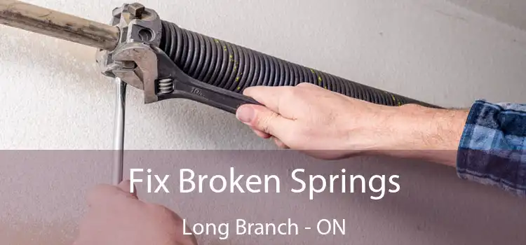  Fix Broken Springs Long Branch - ON