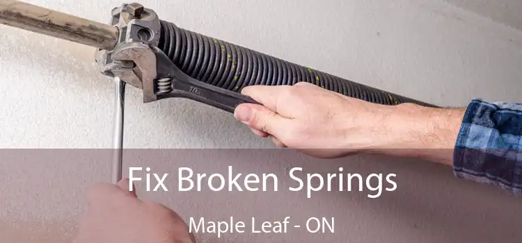  Fix Broken Springs Maple Leaf - ON