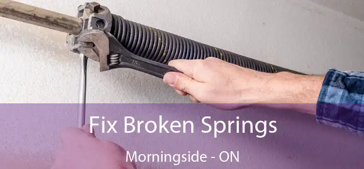  Fix Broken Springs Morningside - ON