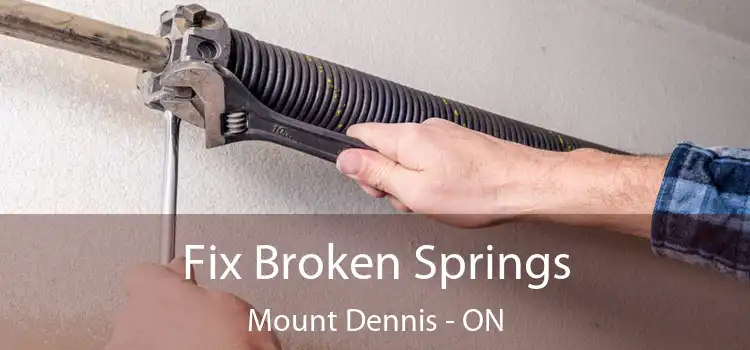  Fix Broken Springs Mount Dennis - ON