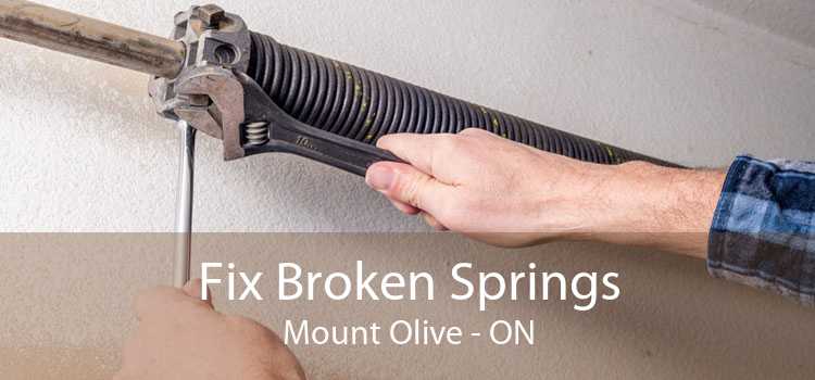 Fix Broken Springs Mount Olive - ON