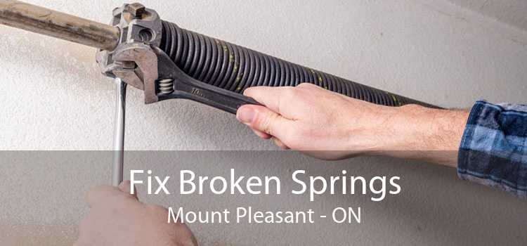 Fix Broken Springs Mount Pleasant - ON
