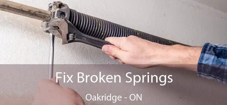  Fix Broken Springs Oakridge - ON