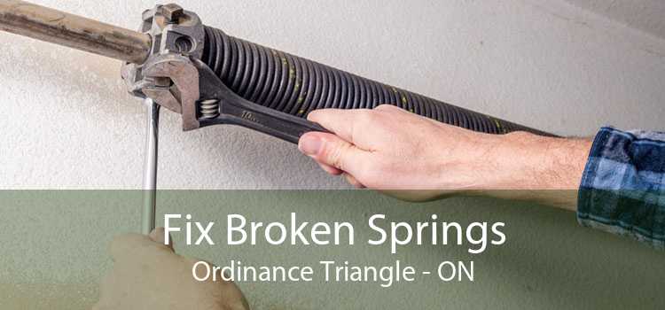 Fix Broken Springs Ordinance Triangle - ON