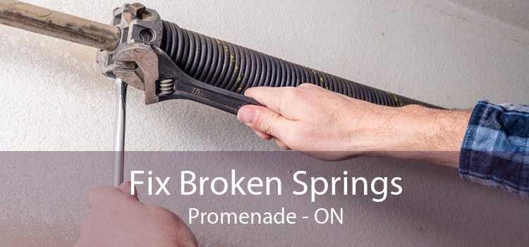Fix Broken Springs Promenade - ON