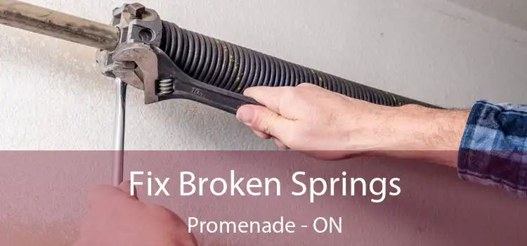  Fix Broken Springs Promenade - ON