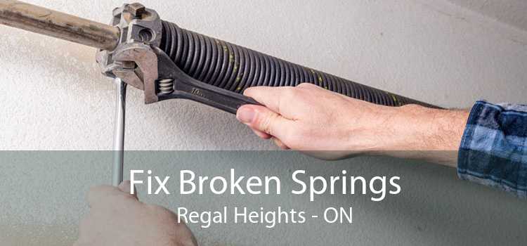 Fix Broken Springs Regal Heights - ON