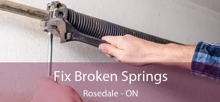  Fix Broken Springs Rosedale - ON