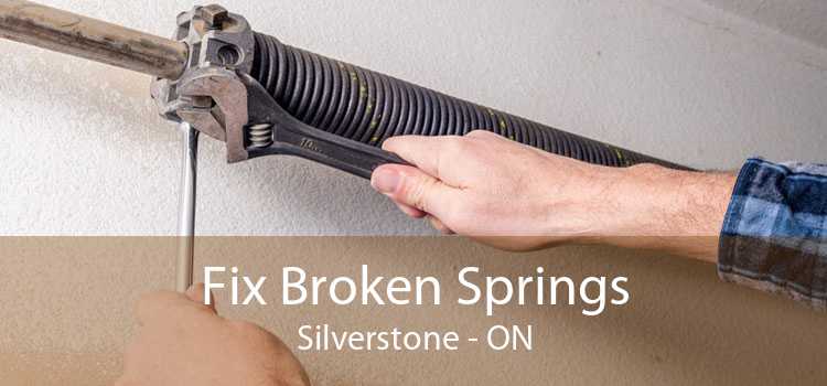 Fix Broken Springs Silverstone - ON