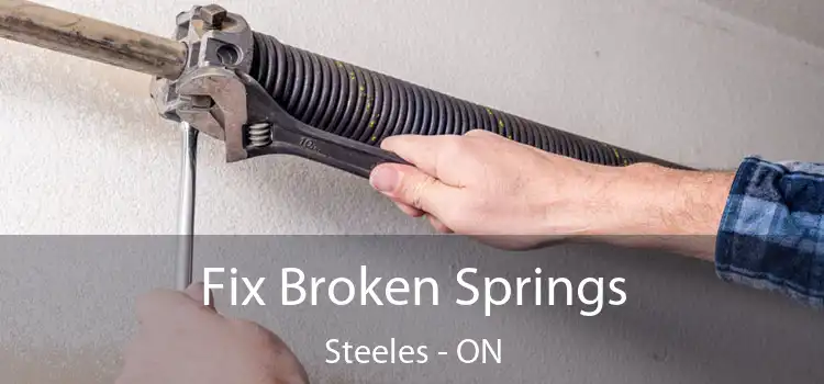  Fix Broken Springs Steeles - ON