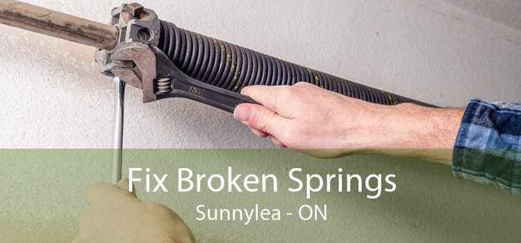 Fix Broken Springs Sunnylea - ON