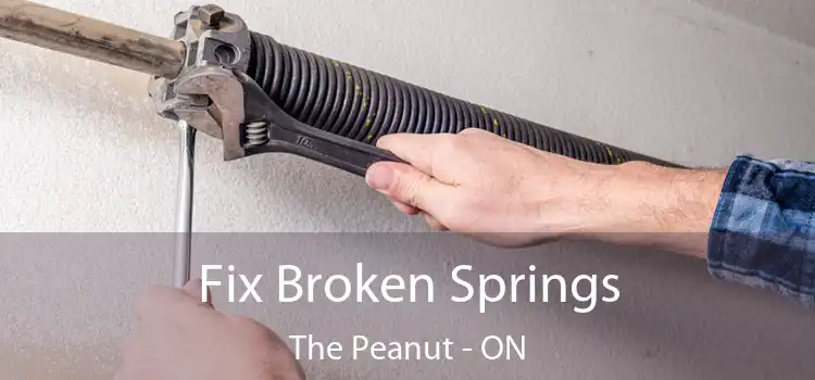  Fix Broken Springs The Peanut - ON