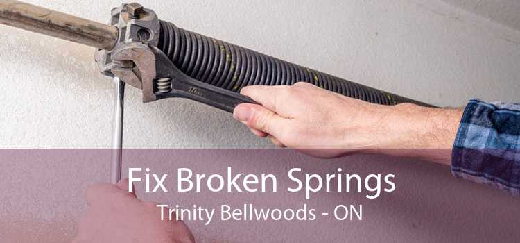 Fix Broken Springs Trinity Bellwoods - ON