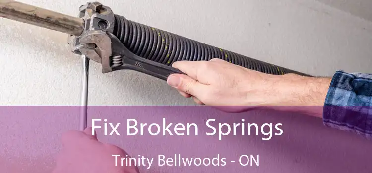  Fix Broken Springs Trinity Bellwoods - ON