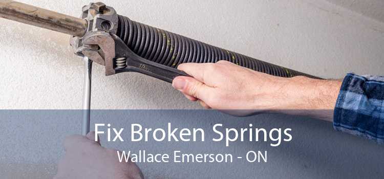 Fix Broken Springs Wallace Emerson - ON