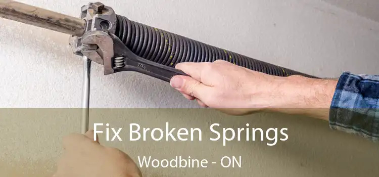  Fix Broken Springs Woodbine - ON