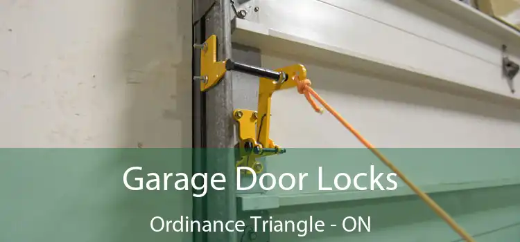  Garage Door Locks Ordinance Triangle - ON