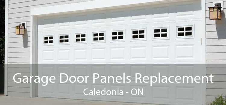 Garage Door Panels Replacement Caledonia - ON