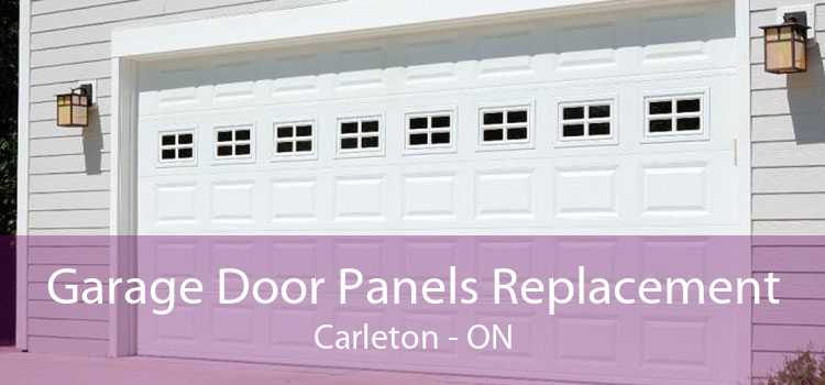 Garage Door Panels Replacement Carleton - ON