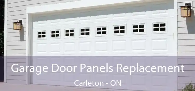  Garage Door Panels Replacement Carleton - ON