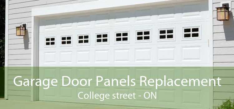 Garage Door Panels Replacement College street - ON