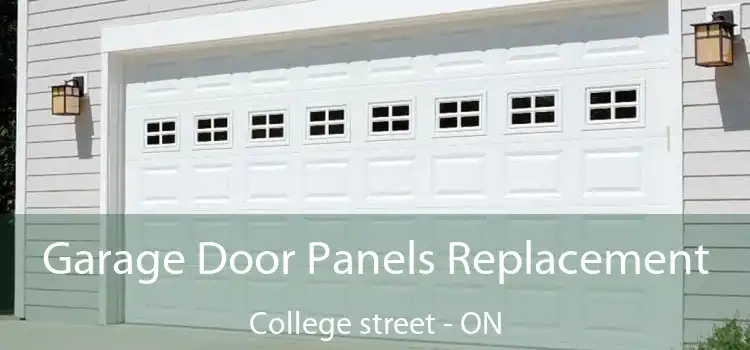  Garage Door Panels Replacement College street - ON