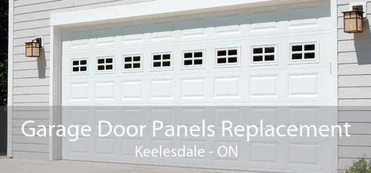 Garage Door Panels Replacement Keelesdale - ON
