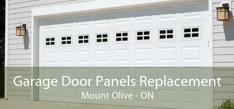 Garage Door Panels Replacement Mount Olive - ON