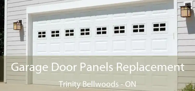  Garage Door Panels Replacement Trinity Bellwoods - ON