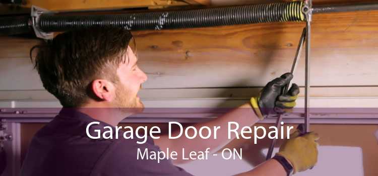 Garage Door Repair Maple Leaf - ON