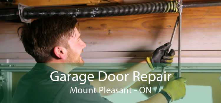 Garage Door Repair Mount Pleasant - ON