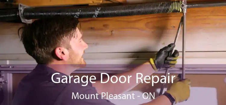  Garage Door Repair Mount Pleasant - ON