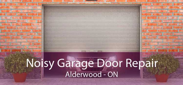 Noisy Garage Door Repair Alderwood - ON