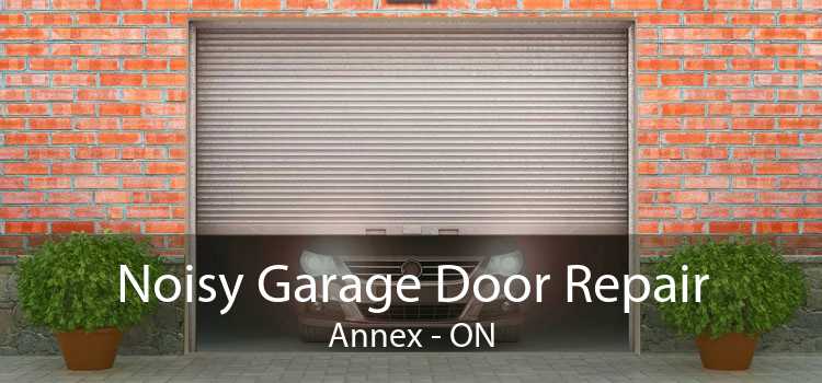 Noisy Garage Door Repair Annex - ON