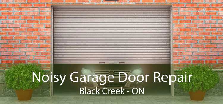 Noisy Garage Door Repair Black Creek - ON